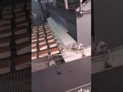 Шоколад 5HP 1000mm чистый Enrobing машина с ровными датчиками